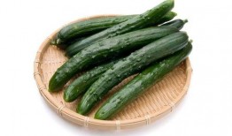 天天吃瓜视频在线看免费观看 黄瓜c,天天吃瓜视频，黄瓜C带你轻松解锁快乐时光